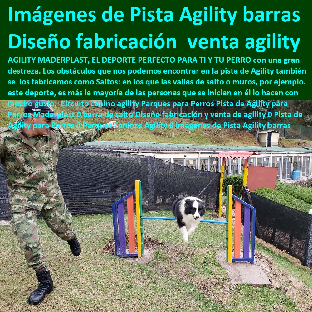 Circuito canino agility Parques para Perros Pista de Agility para Perros Maderplast 0 barra de salto Diseño fabricación y venta de agility 0 Pista de Agility para Perros 0 Parques Caninos Agility 0 Imágenes de Pista Agility barras Circuito canino agility Parques para Perros Pista de Agility para Perros Maderplast 0 barra de salto Diseño fabricación y venta de agility 0 Casas Para Perros Y Mascotas, Agility De Perros, Pistas De Adiestramiento, Caninos Para Perros, Equipo De Agility Para Perros, Cunas Y Parideras Para Perros, Parques Para Perros, Corrales Para Perros, Jaulas cuidado de perros, Pista de Agility para Perros 0 Parques Caninos Agility 0 Imágenes de Pista Agility barras